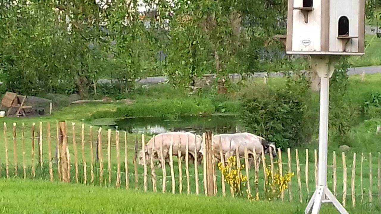 Вілла La Ferme De Bertogne Екстер'єр фото
